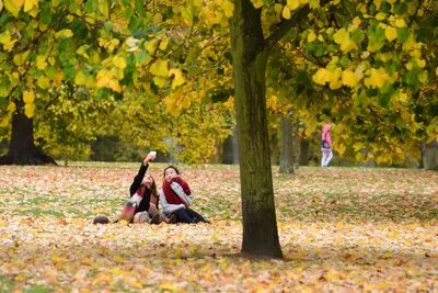 DSC_0589 (Large).JPG